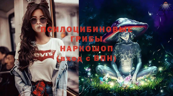 шишки Алзамай