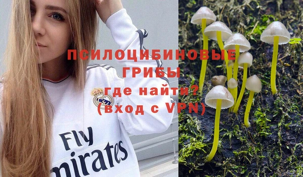 шишки Алзамай