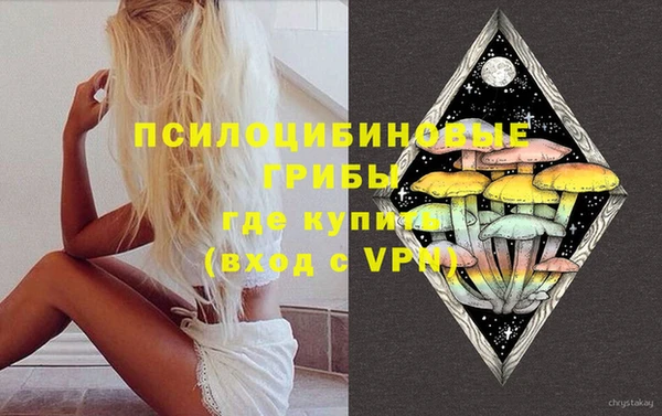 сатива Алексеевка