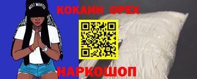 гидропоника Рязань