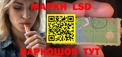 шишки Абакан