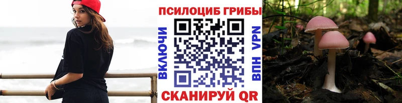 Галлюциногенные грибы Psilocybe наркотики дарк нет как зайти Амурск