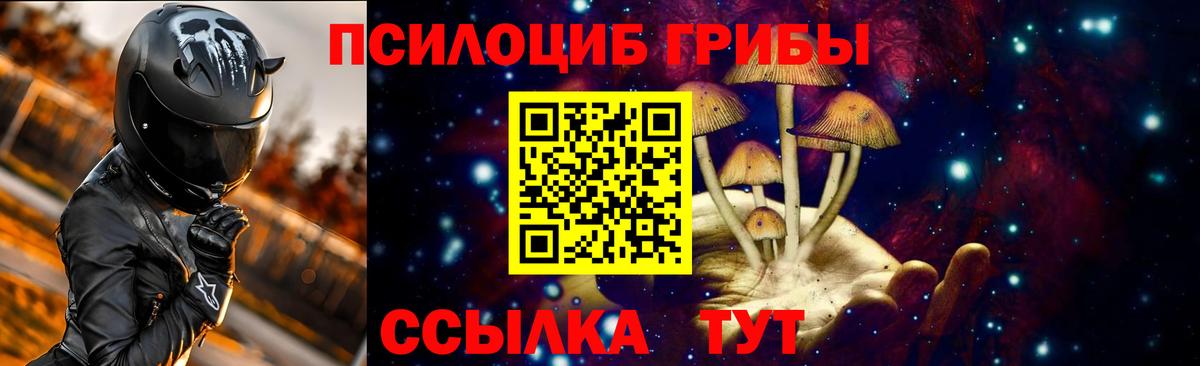Псилоцибиновые грибы Psilocybe Амурск